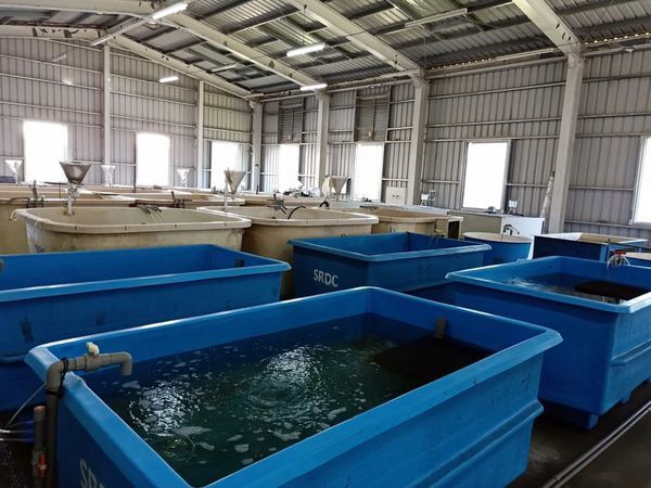 52586473_2134827979944504_6890374388969897984_n