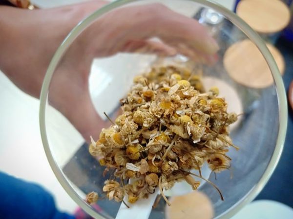 52458972_599804473800044_3545856232856223744_n