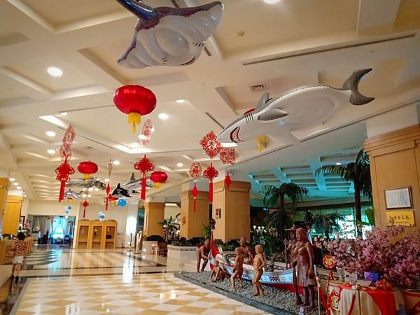 53082595_2216510215265665_2567074795740987392_n