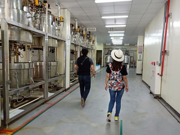 52651152_1941334009322565_3196728567681515520_n