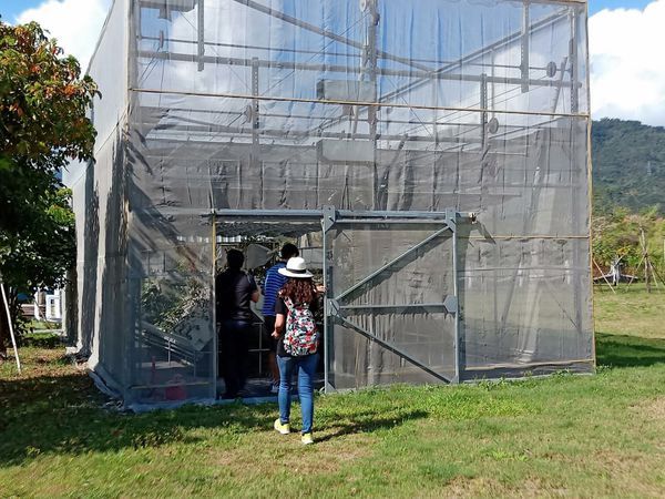 52605597_330075524308532_1491543387717763072_n