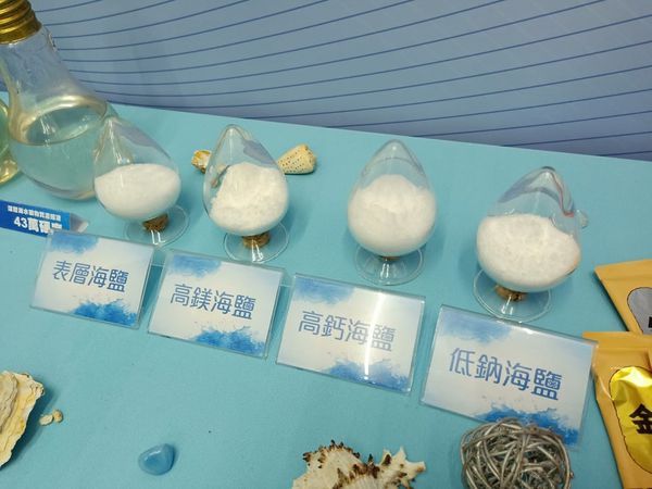 53012160_257680565122700_5159532087992123392_n