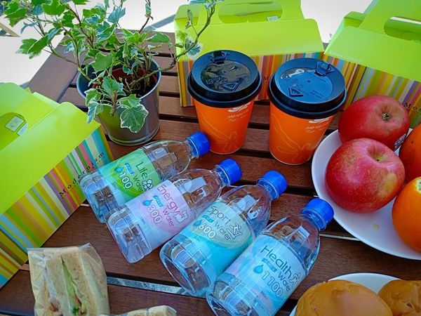 52712965_304404743766272_4647010088622489600_n