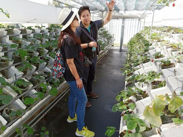 52588567_558240458015200_468520080896950272_n