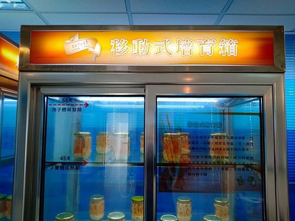 52708530_681549035580646_7144155661369081856_n