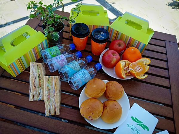 52601928_2388856364670517_2654818920308932608_n