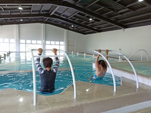 53233337_643884222732752_7167403262780375040_n