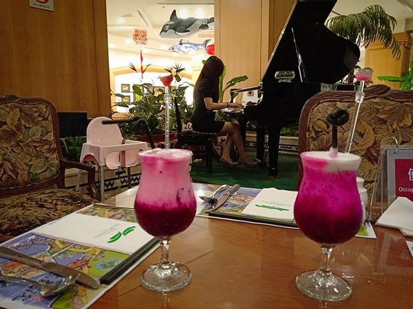 52908612_309415136429627_2919562065939005440_n