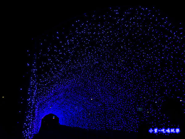 5光之隧道-屏東綵燈節  (2).jpg