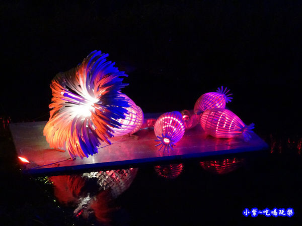 4風和絢麗-屏東綵燈節 ) (1).jpg