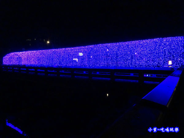 5光之隧道-屏東綵燈節  (3).jpg