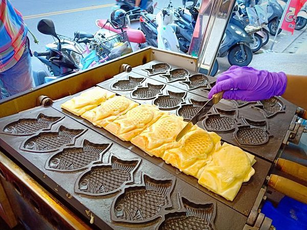 52669944_252230772325745_8474290467251421184_n