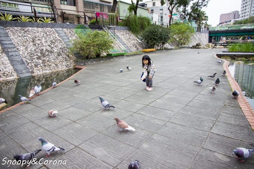 【玩樂．台北】新莊熱門打卡景點／新莊中港大排彩繪親水綠廊～超網美的彩色積木步道，散步就能拍好拍滿
