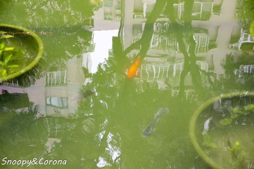 【玩樂．台北】新莊熱門打卡景點／新莊中港大排彩繪親水綠廊～超網美的彩色積木步道，散步就能拍好拍滿