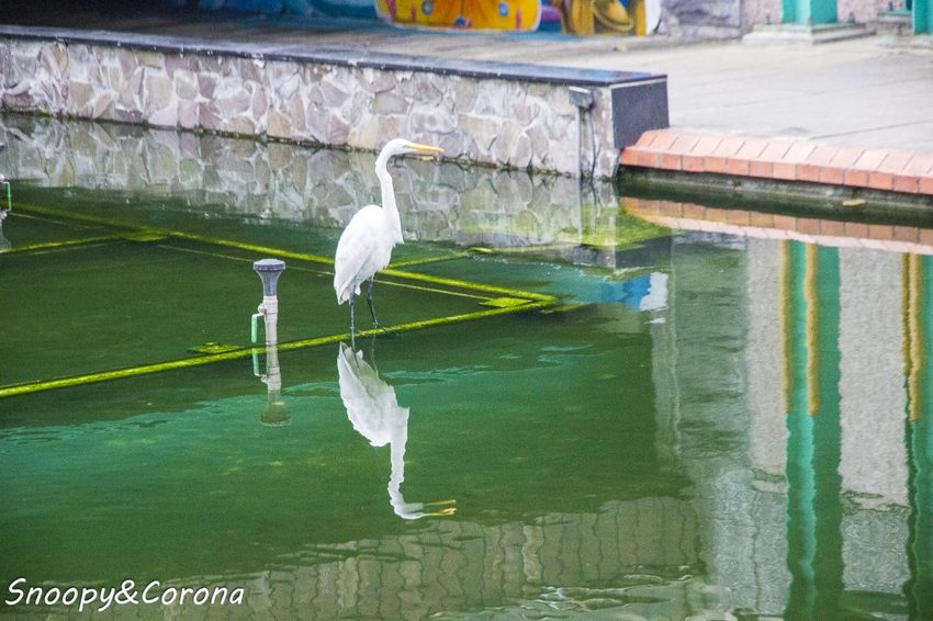 【玩樂．台北】新莊熱門打卡景點／新莊中港大排彩繪親水綠廊～超網美的彩色積木步道，散步就能拍好拍滿
