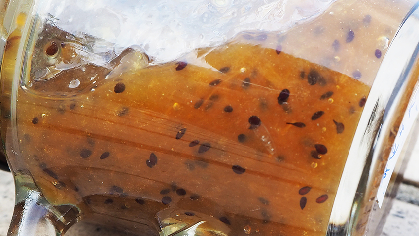 三峽老街,三峽老街,三峽冰燕綿綿冰,冰燕手工果醬,我不是他媽媽,水果茶,奇異果果醬,鳳梨果醬,桑椹果醬,水果茶,自製果醬,無添加果醬,手工果醬