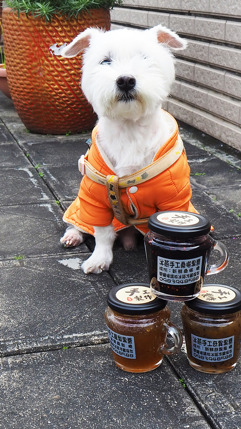 三峽老街,兒童沙畫,三峽冰燕綿綿冰,冰燕手工果醬,我不是他媽媽,三峽上北大,三峽美食,台北綿綿冰,台北雪花冰,三峽雪花冰,手工冰淇淋