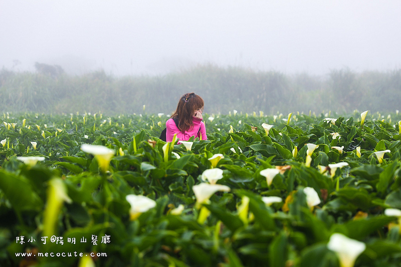 台北美食,名廚料理會館 竹子湖,陽明山土雞,陽明山美食,陽明山餐廳 @陳小可的吃喝玩樂