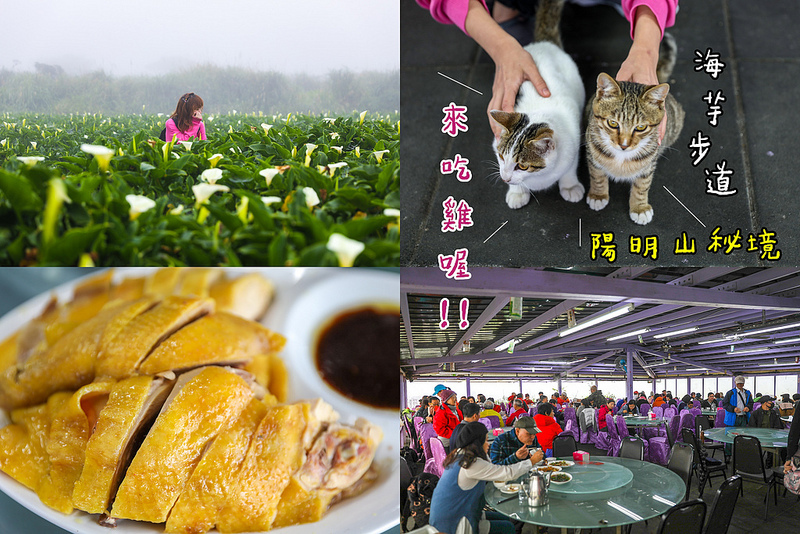 台北美食,名廚料理會館 竹子湖,陽明山土雞,陽明山美食,陽明山餐廳 @陳小可的吃喝玩樂