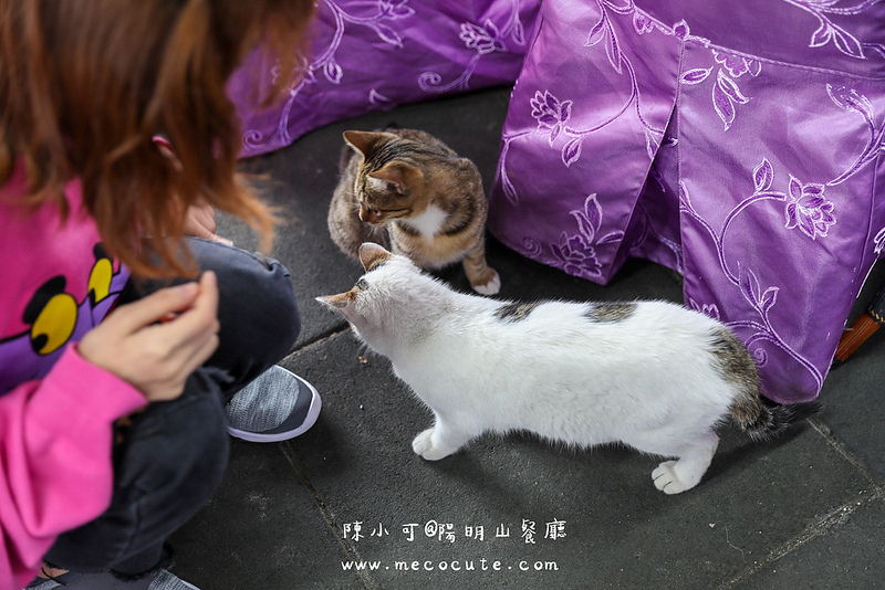 台北美食,名廚料理會館 竹子湖,陽明山土雞,陽明山美食,陽明山餐廳 @陳小可的吃喝玩樂