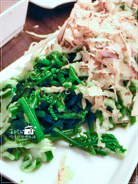 木柵貓空的貓懶