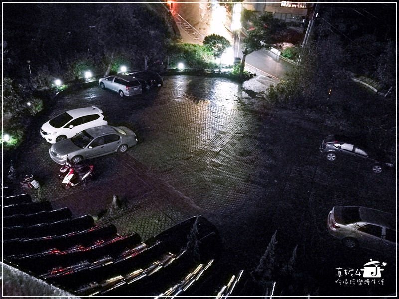 木柵貓空的貓懶