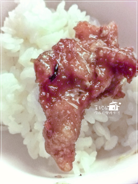 木柵貓空的貓懶