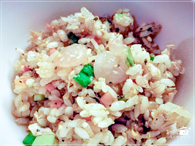 木柵貓空的貓懶