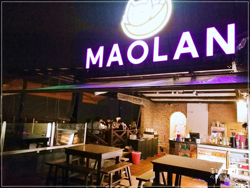 木柵貓空的貓懶