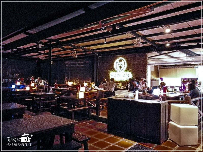 木柵貓空的貓懶