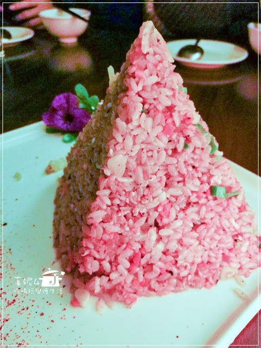 木柵貓空的貓懶