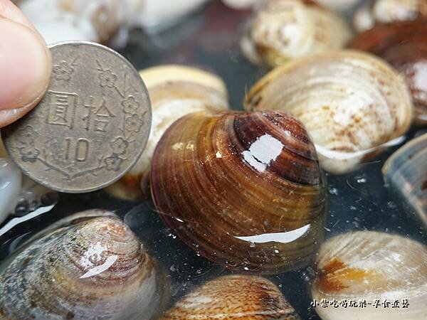 海の幸海鮮盤-肉多多火鍋桃園中正店 (6).jpg