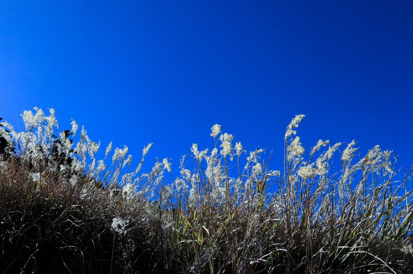 「台灣哪裡不好？」新竹攝影家紀錄台灣美麗景緻