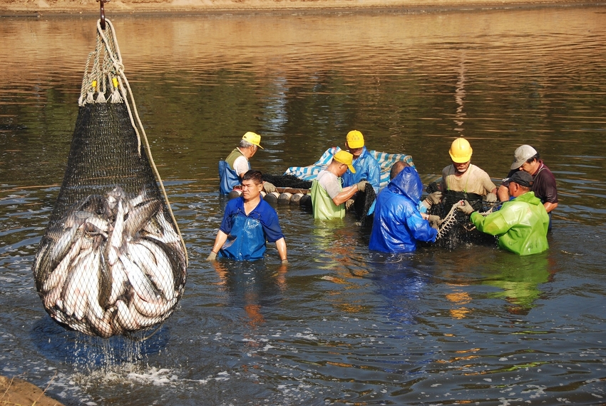 新竹竹北 ｜新瓦屋 Ｘ 苙森林 聖誕裝置藝術＆攝影聯展的啟發和美學培養