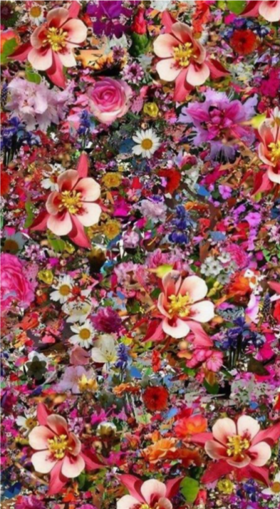 HOT!攝影藝術品大熱門！亞洲攝影人文創作！