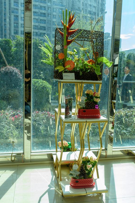 新竹苙森林藝文空間展開新世界，新世代的文化價值