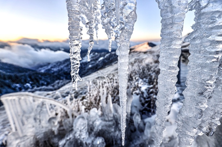 苙森林開放母女免費參觀亞洲人文景致攝影展覽！