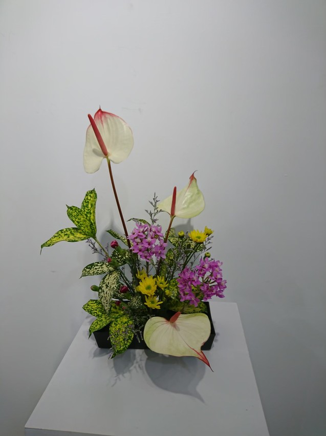 新竹 苙森林花藝設計師聯展 歐洲花園裝置藝術 開放參觀