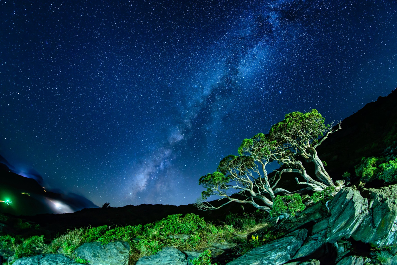 新竹竹北 ｜新瓦屋 Ｘ 苙森林 聖誕裝置藝術＆攝影聯展的啟發和美學培養