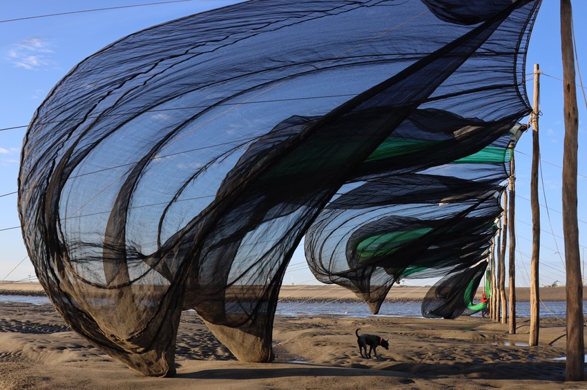 苙森林開放母女免費參觀亞洲人文景致攝影展覽！