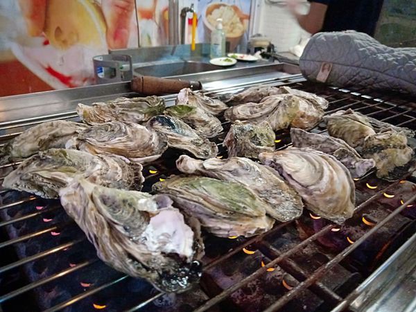 52938273_715758835486464_5074129489399644160_n