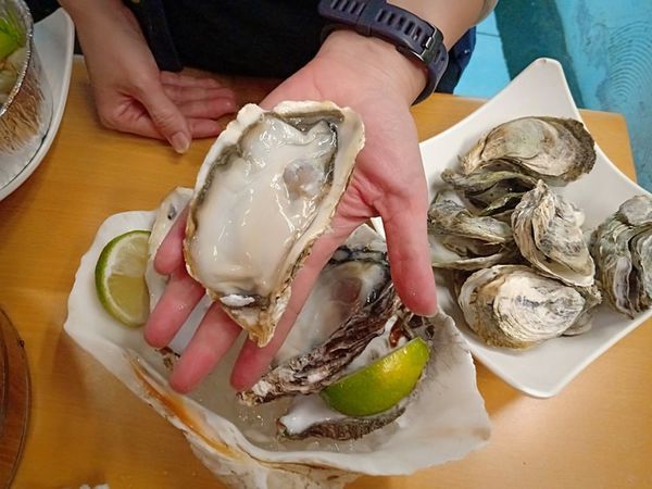 52688650_310768659796075_5426087056986079232_n