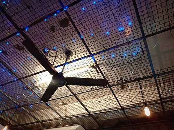 52863946_2232373113491797_4055059210348527616_n