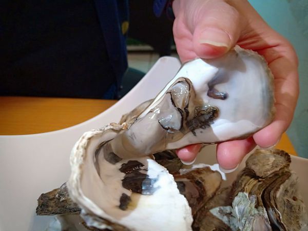 53110829_1028873510653011_735738897216045056_n