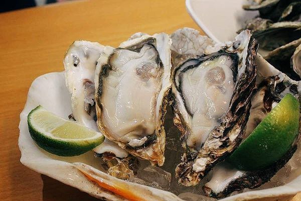 52646475_359589798104877_5236471109930450944_n