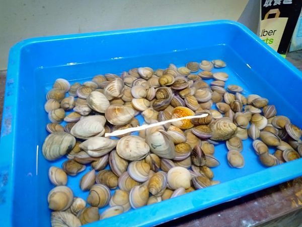 53086145_1180621815439632_790052637029433344_n