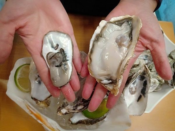 52740110_289660421725322_3918545740724436992_n