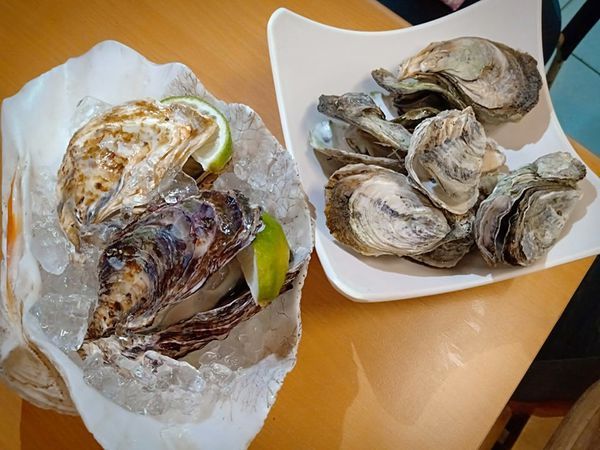 52762259_330742847570572_7330340363346903040_n