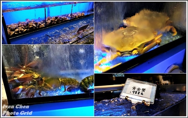 超越水產超市火鍋(桃園ATT站前店):《桃園站前火鍋》CP值高/超越水產品值/新鮮彈性任點/新品牌超市火鍋/『超越水產.超市火鍋 桃園ATT站前店』