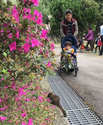 [台北住宿] Backpackers Inn, Taipei 貝殼窩青年旅舍 - 台北｜背包客房親子初體驗（鄰近捷運台大醫院站、捷運台北車站的青年旅舍，交通超方便！推薦舒適便宜的台北親子住宿地點！）